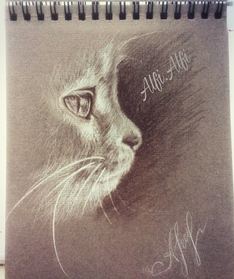 Sketchbook: skethbook